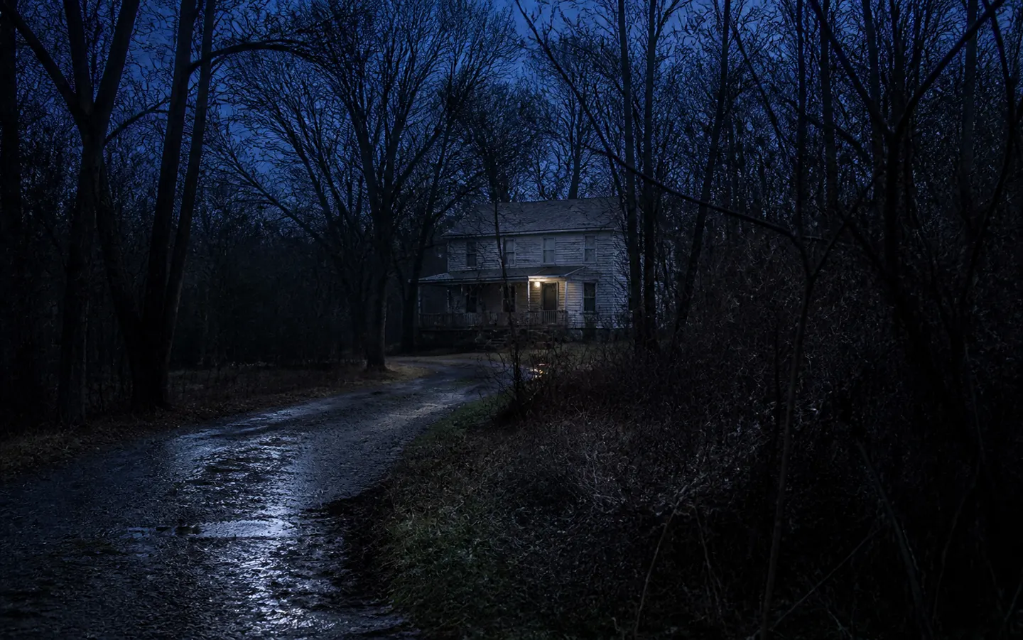 A wet overgrown drive leading to a weathered farmhouse at blue hour