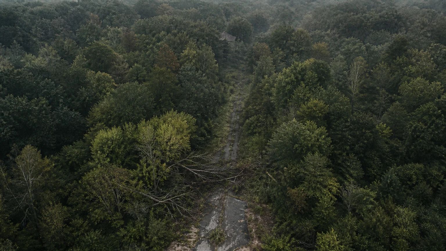 Oblique aerial view of a service road blocked by trees below a distant roofline